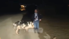 O ρεπόρτερ του Παπαδάκη που τον δάγκωσε γουρούνι on air: «Και εγώ θα γελούσα», λέει