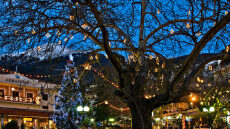 Χριστούγεννα στη Ρούμελη: Οι «τσιγαρίθρες», τα «μπουμπάρια» και οι «βασιλοκουλούρες» 