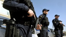 Θεσπρωτία: Σφαίρες ανάμεσα σε αστυνομικούς και ζωοκλέφτες