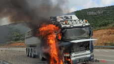 Γαργαλιάνοι: Νταλίκα τυλίχτηκε στις φλόγες εν κινήσει - Δείτε φωτογραφίες και βίντεο