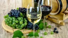 Η κλιματική αλλαγή «απειλεί» και την παραγωγή κρασιού, λένε ερευνητές