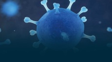 Κορωνοϊός: «Τα μέτρα της Κίνας δίνουν την ευκαιρία να σταματήσει η παγκόσμια εξάπλωση» λέει ο ΠΟΥ