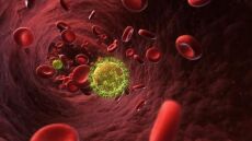 Παγκόσμια Ημέρα Κατά του Καρκίνου: Οι Έλληνες ανησυχούν για τον καρκίνο, αλλά δεν προσέχουν 