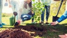 Δενδροφύτευση: «1.000 δέντρα... 1.000 αποτυπώματα ζωής» από 200 μαθητές