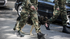 Συναγερμός στα νησιά: «Θωρακίζονται» ακόμα και με στρατιωτικούς σκύλους - Αυξημένη εγρήγορση στο Καστελόριζο