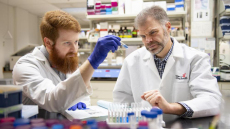 Τριγλυκερίδια: Υπάρχει τρόπος να «καθαρίσουμε» το αίμα από αυτά