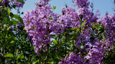 Καιρός: Διαβάστε τις πρώτες εκτιμήσεις για τον καιρό το Πάσχα