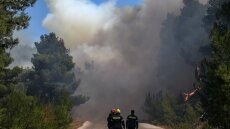 Χαλκιδική: Φωτιά στη Νέα Σκιώνη