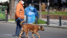 Αναδρομικά συνταξιούχων: Επιστροφές έως 9.427 ευρώ - Τι προβλέπεται να ισχύσει - Διαβάστε παραδείγματα