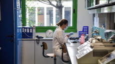 Κορωνοϊός: Θετικά αποτελέσματα από πειραματικό εμβόλιο της Inovio σε πειραματόζωα