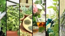 Κάνε το μπαλκόνι… περιβόλι