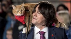 Πέθανε ο «γάτος που τον έλεγαν Μπομπ» και είχε «σώσει» τον τοξικομανή ιδιοκτήτη του