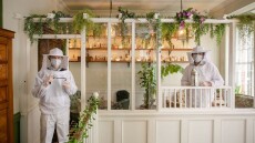 Μπαρ ντύνει τους bartenders… μελισσοκόμους ως μέτρο προστασίας από τον κορωνοϊό