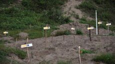 Μεξικό: Τουλάχιστον 215 πτώματα σε ομαδικούς τάφους στη Γουαδαλαχάρα από τον Ιανουάριο