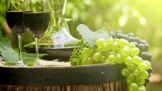 Save vintage 2019: Το ψηφιακό κελάρι του 2019