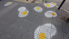 Θεσσαλονίκη: Γιατί οι δρόμοι γέμισαν με τηγανητά αυγά - Δείτε φωτογραφίες 