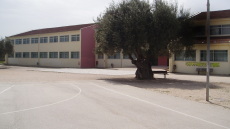 Θεσσαλονίκη: Παρέμβαση εισαγγελέα για αυτοσχέδιους αγώνες πυγμαχίας σε αυλή δημοτικού σχολείου