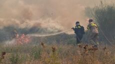 Φωτιές: Οριοθετημένο το μέτωπο στο Γραμματικό Ηλείας - Υπό μερικό έλεγχο στο Λάλα Αρχαίας Ολυμπίας