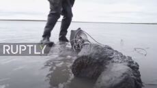 Σιβηρία: Τα οστά ενός μαλλιαρού μαμούθ ηλικίας 10.000 ετών εντοπίστηκαν σε λίμνη - Δείτε βίντεο