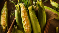 Πώς να διαλέγεις πάντα τα καλύτερα καλαμπόκια