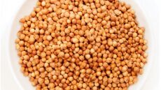 Μυστήριο: Άνθρωποι ανά τον κόσμο λαμβάνουν πακέτα με σπόρους ταχυδρομικώς