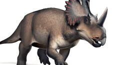 Βρέθηκε ο πρώτος καρκίνος σε δεινόσαυρο