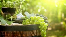 Comeback για το ελληνικό κρασί, σύμφωνα με τα γερμανικά ΜΜΕ