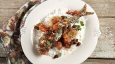 Τα ψάρια του καλοκαιριού