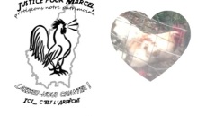 Γαλλία: Δεν άντεξε τα κακαρίσματα του κόκορα του γείτονά του και τον... εκτέλεσε