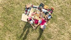 Viral: Και όμως συνέβη, οικογένεια έκανε πικ νικ με αρκούδα!