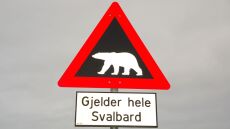 Νορβηγία: Πολική αρκούδα επιτέθηκε και σκότωσε τουρίστα