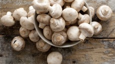 12χρονος έχει φτιάξει τη δική του φάρμα μανιταριών στο υπόγειο του σπιτιού του