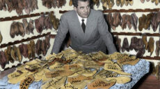 Σαλβατόρε Φεραγκάμο: Ο Ιταλός που έκανε τα παπούτσια επιστήμη