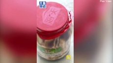 Οικογένεια στην Κίνα βρήκε νυχτερίδα μέσα σε βάζο με σως!