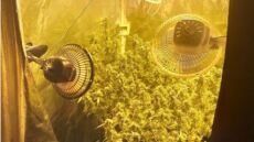 Εργαστήριο υδροπονικής κάνναβης σε σπίτι στην Φλώρινα