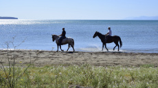 Πρώτο Σαββατοκύριακο του Νοεμβρίου με ήλιο και θερμές ημέρες για την εποχή - Η εξέλιξη του καιρού από αύριο 