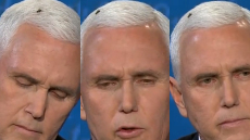 Εκλογές ΗΠΑ: Χαμός στο Twitter με την... επίμονη μύγα που κάθισε στο κεφάλι του Πενς στο ντιμπέιτ