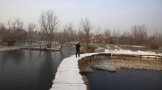 Οι «Collapsologists» προετοιμάζονται για το τέλος του βιομηχανικού πολιτισμού