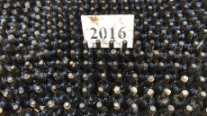 Αναδύθηκε ο Βυθισμένος Θαλασσίτης 2016