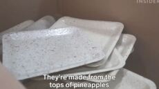 Ήξερες ότι υπάρχουν πιάτα από ανακυκλωμένο ανανά, που φυτεύονται;