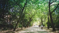 Πανδημία: Ο νο1 παράγοντας που μειώνει το στρες και την κατάθλιψη