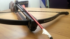 Αδιανόητη κτηνωδία στον Βόλο: Έριξε βέλος στον σκύλο γιατί... τον ενοχλούσε στο διάβασμα!