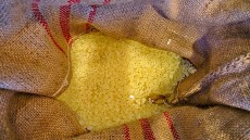 Το τρόφιμο – φάρμακο που θωρακίζει το πεπτικό και καταπολεμά τα παθογόνα μικρόβια