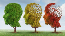 Τα περιττά κιλά δεν είναι πρόβλημα μόνο για το σώμα, αλλά και το μυαλό – Δείτε γιατί