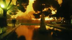 «Οπτικοποιώντας την ανθρωπότητα»: Η πρώτη ψηφιακή έκθεση του Δικτύου Μουσείων Σύγχρονου Πολιτισμού