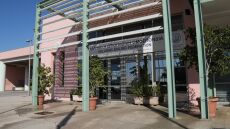 Ελληνική Ιστιοπλοΐκή Ομοσπονδία: Τα θύματα κακοποίησης να μιλήσουν, θα τα στηρίξουμε»