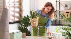 Lockdown: Τι βρίσκεται στο σπίτι όσων έχουν περισσότερες ψυχικές αντοχές