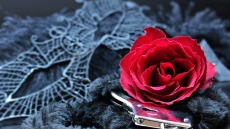 Άγιος Βαλεντίνος: Γραφείο Σερίφη προτρέπει άτομα να καταδώσουν τους φυγόδικους... πρώην τους