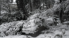 Κακοκαιρία «Μήδεια»: Άφησε πίσω της 255 τόνους κλαδεμάτων στο Χαλάνδρι