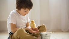 Φίμωση: Τι την προκαλεί και πώς αντιμετωπίζεται